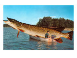 Giant Pike in Boat