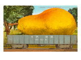 Giant Pear in Rail Car