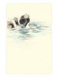 Geisha Bathing in River