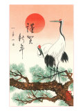Red-Crowned Cranes