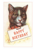 Happy Birthday  Cat