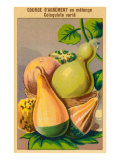 French Gourd Selection Seed Packet