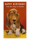 Happy Birthday  Basset Hound