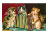 Kittens Playing Concertina