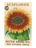 Sunflower Seed Packet