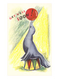 Get Well Soon  Performing Seal