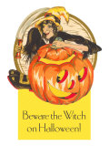 Beware the Witch on Halloween  Jack O'Lantern