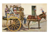 Sicilian Cart and Donkey  Palermo  Italy