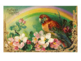 Birthday Greetings  Parrot and Roses