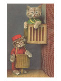 Dressed Kittens  Organ Grinder