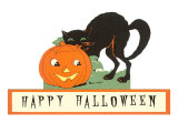 Happy Halloween  Cat and Jack O'Lantern