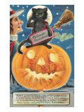 Black Cat with Halloween Precautions