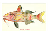 Hawaiian Fish  Moano