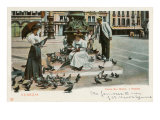 Pigeons in St Mark's Square  Venice  Italy