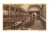 Ash Bodies in Pompeii Museum