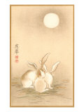 Rabbits and the Moon