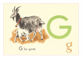 G is for Goat