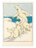 Fun for Polar Bears