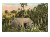 Grass Hut  Native Homestead  Hawaii