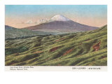 Fujiyama from Jikkoku Pass