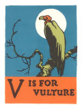 V is for Vulture