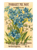 Forget Me Not Seed Packet