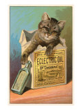 Cat with Eclectric Oil