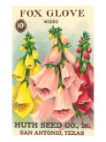 Fox Glove Seed Packet