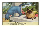 Exotic Cats