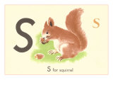 S is for Squirrel