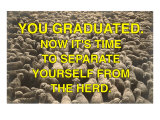 You Graduated  Flock of Sheep