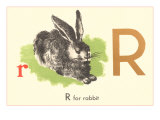 R is for Rabbit
