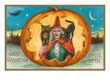 Halloween  Witch and Familiars