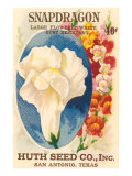 Snapdragon Seed Packet