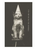 Cat in Dunce Cap