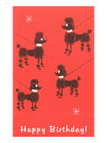 Happy Birthday  Four Poodles on Leashes