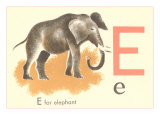 E is for Elephant