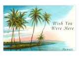 Wish You Were Here  Hawaii  Palm Atoll