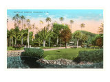 Moanalua Gardens  Honolulu  Hawaii