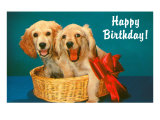 Happy Birthday  Two Spaniels in Basket