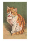 Cat Licking Paw