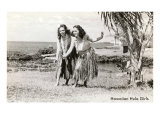 Hula Dancers  Photo