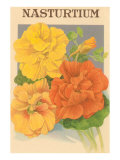 Nasturtium Seed Packet