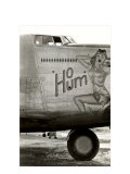Nose Art  Ho Hum  Pin-Up