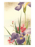 Irises and Other Flowers