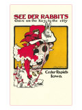 See Der Rabbits  Cedar Rapids  Iowa