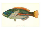Hawaiian Fish  Ohua