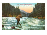 Trout Fishing in a Mountain Stream