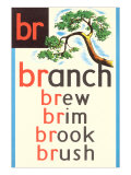 BR for Branch