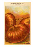 French Red Onion Seed Packet